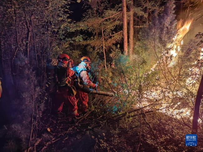 内蒙古大興(xing)安嶺發生多起(qi)森林火災 各方(fang)正積極撲救