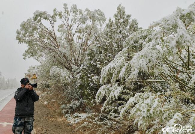 甘肅酒泉(quán)：立夏飛雪