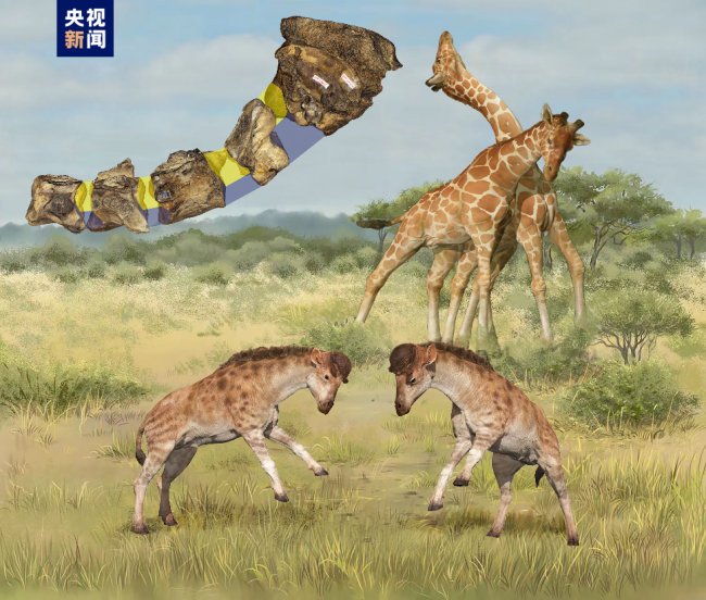 2022年度中(zhōng)國古生物學十(shí)大進展發布