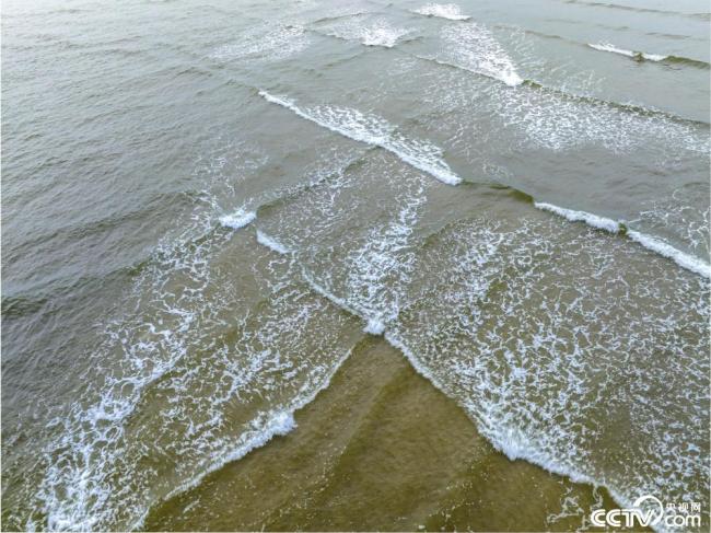 廣東茂名：海(hai)灘現交叉潮景(jing)觀