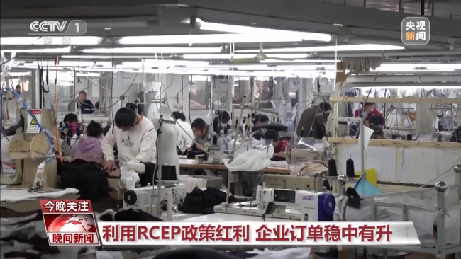 RCEP即将(jiāng)全面生效 助(zhu)力全球經濟(jì)繁榮發展
