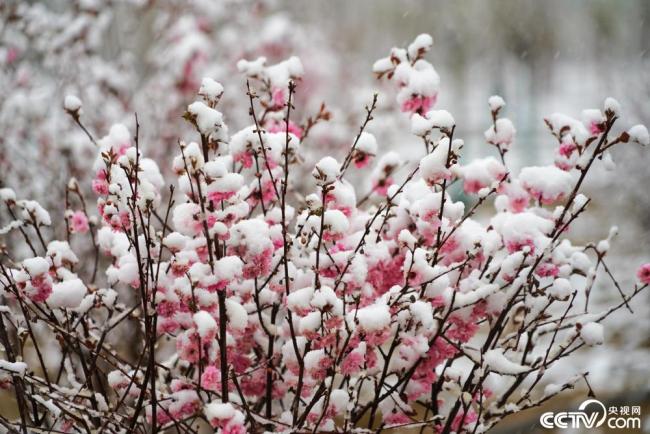 甘(gan)肅酒泉：立夏飛(fei)雪